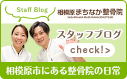 スタッフブログ